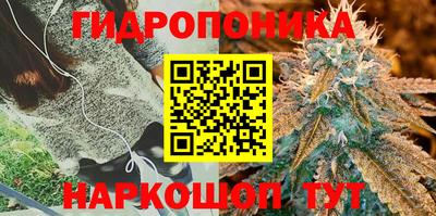 кристаллы Дубна