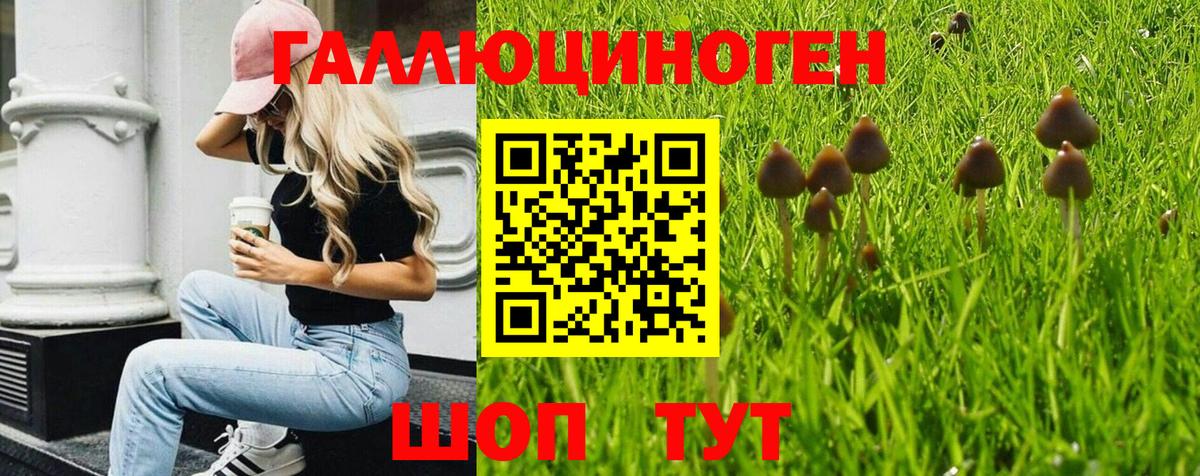 Кизляр  Псилоцибиновые грибы мухоморы  Вход с VPN 