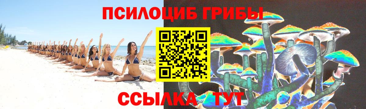 Галлюциногенные грибы MAGIC MUSHROOMS Кизляр